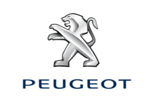 Peugeot vehicle parts